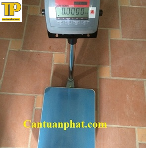 Cân bàn ohaus – 500kg (500kgx100g)